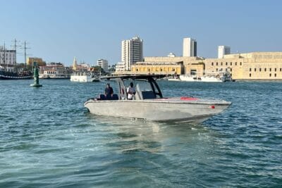 TODOMAR 34 – 34 FT – 2x SUZUKI 250 HP